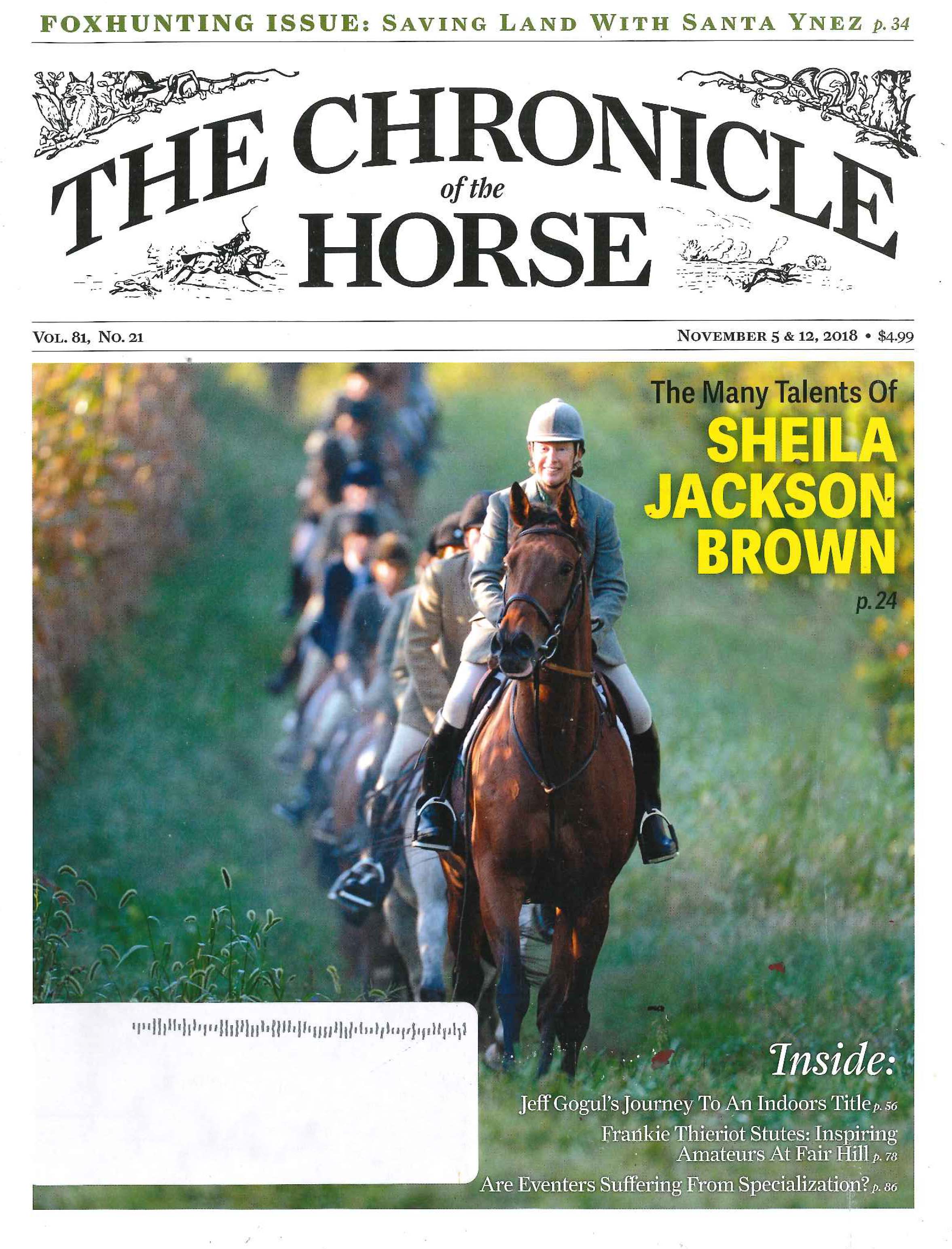 Shaeila Brown Chronicle Article 1