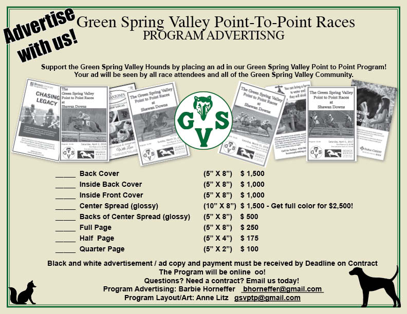 GSVPt2Pt ProgramAdsInfographic