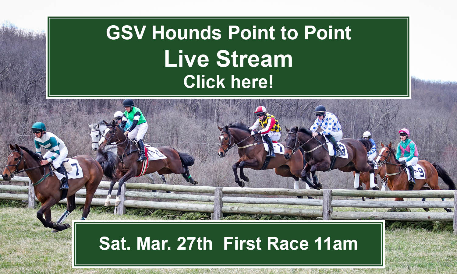 GSVptp2021 livestream