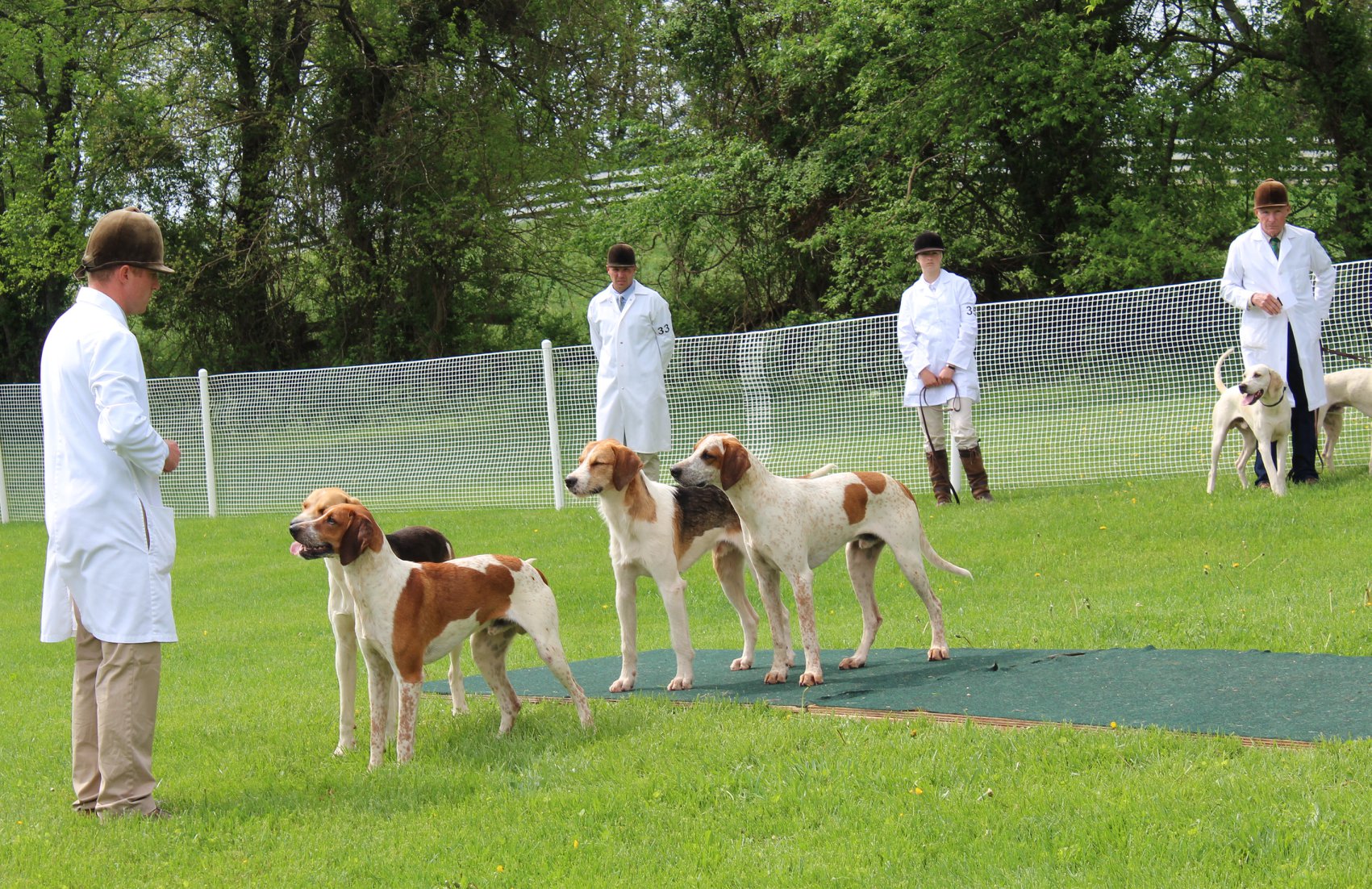 MarylandHoundShow2018 Karen 01