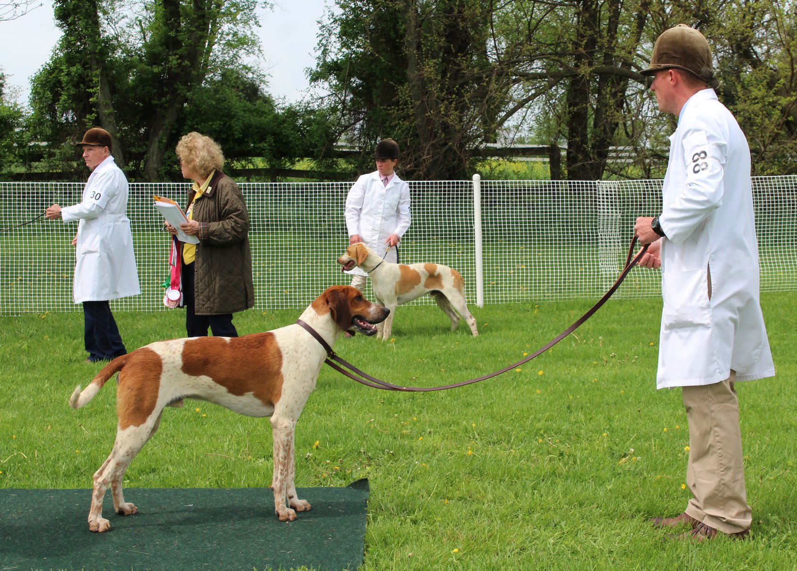 MarylandHoundShow2018 Karen 02