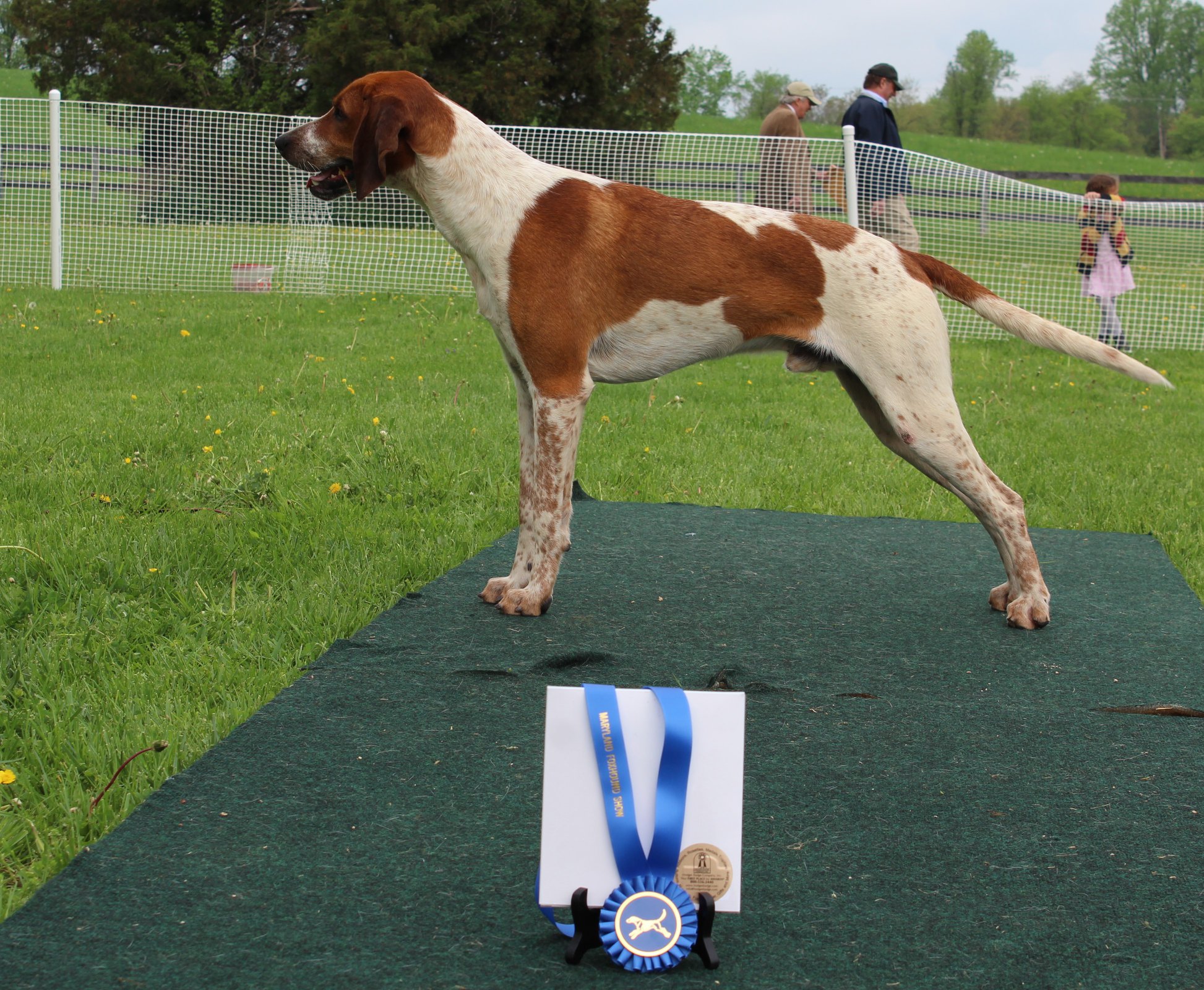 MarylandHoundShow2018 Karen 04