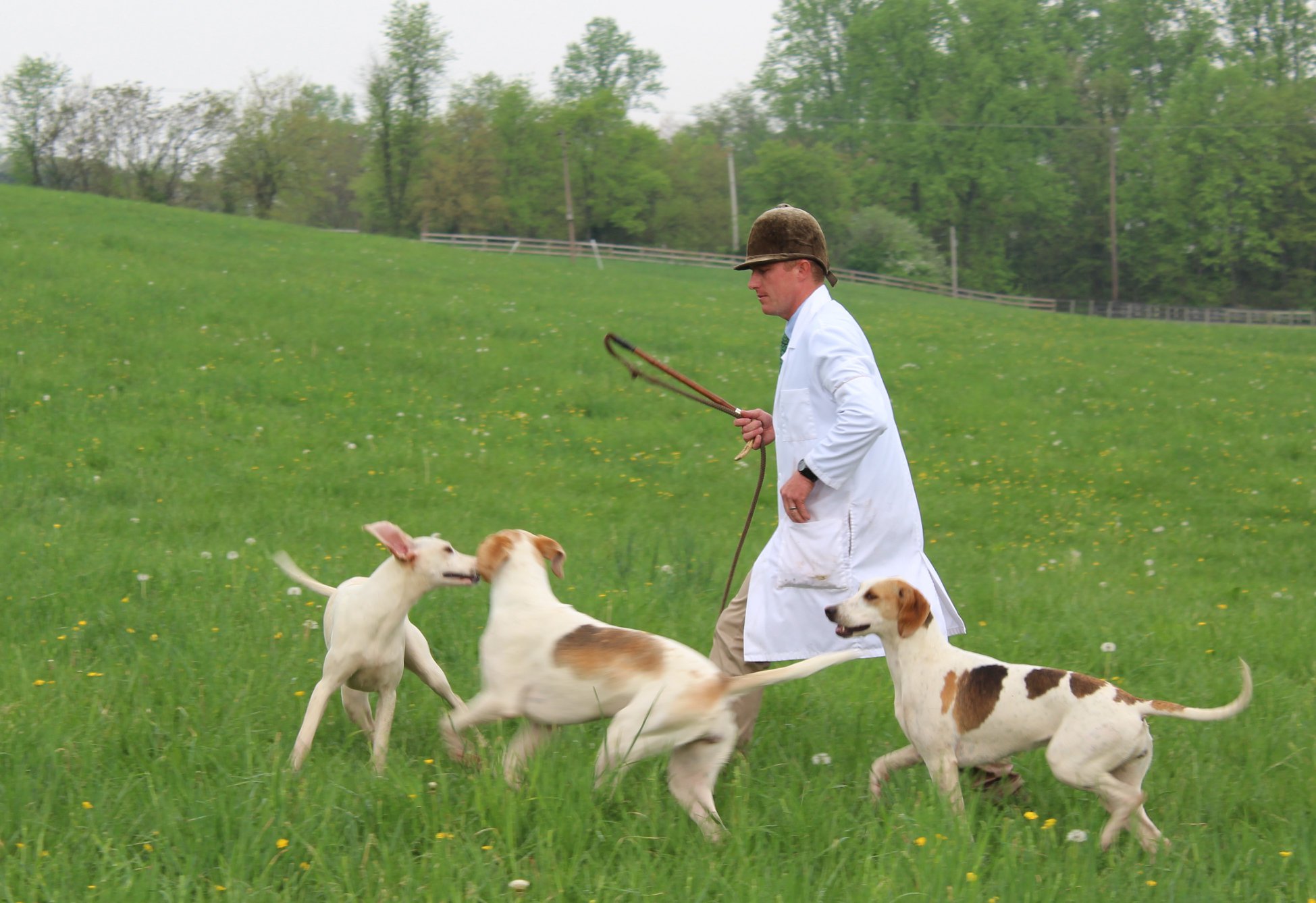 MarylandHoundShow2018 Karen 08