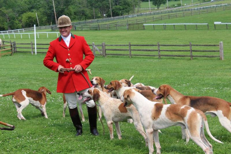Bryn Hound Show 2019