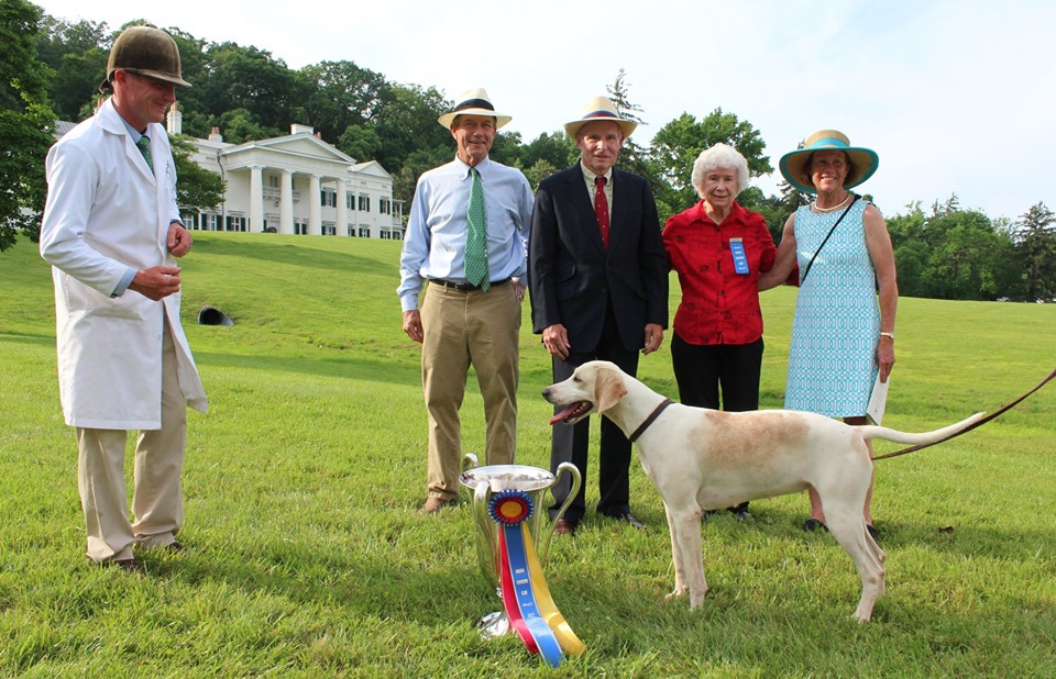 Virginia Foxhound Show 2019