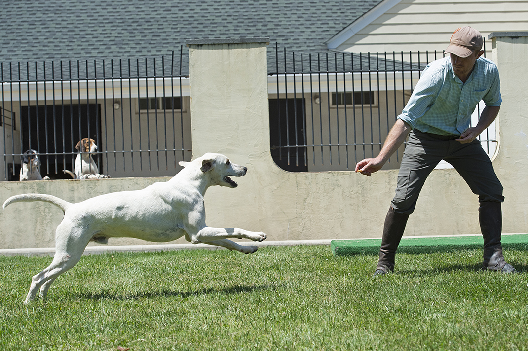 Lenny LenderLacey 03