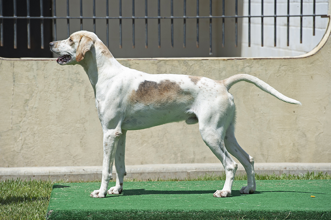 Boatman: Pilgram x Bonus