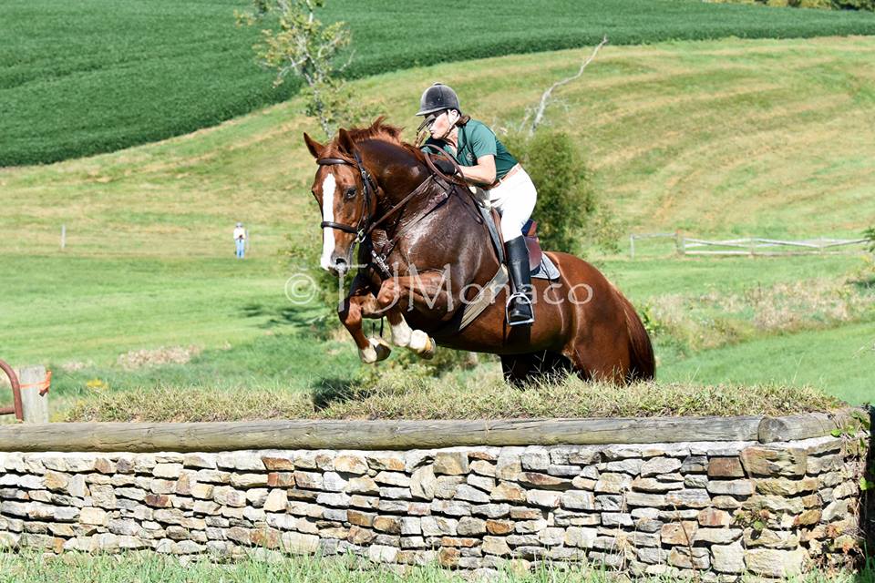 HunterTrialsSheila Tammie J. Monaco