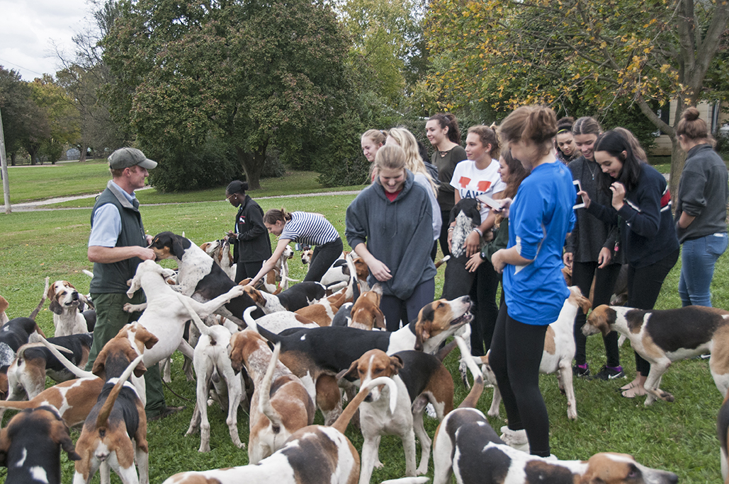 OldfieldsGirls GSVHounds2017 02