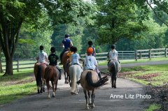ALPonyCamp2015039_Web.jpg