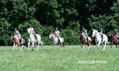ALPonyCamp2015065_Web.jpg