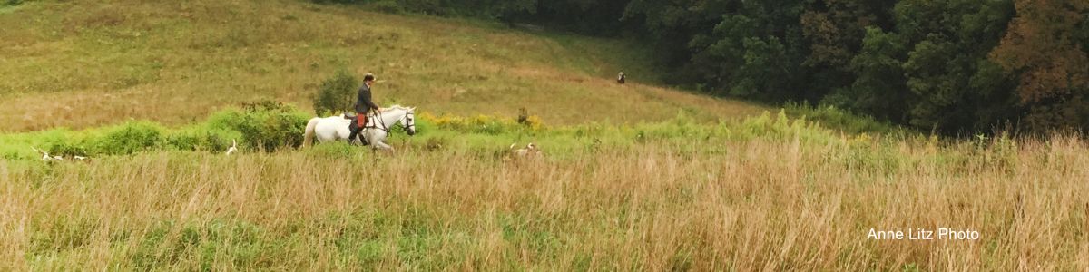 GSVHunting09142017 03banner