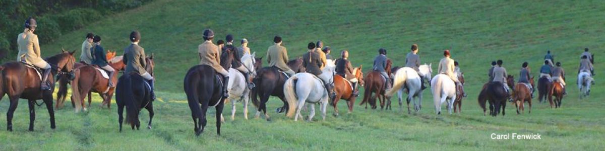 GSV092317 001CarolFenwickbanner