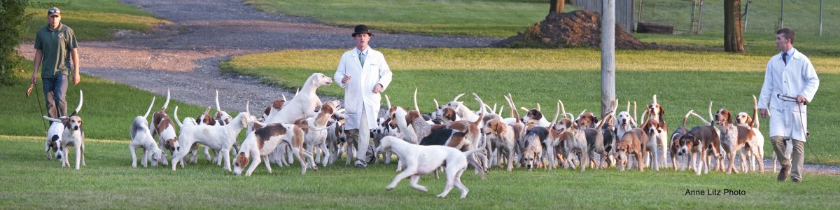 AL GSVPuppyShow2017 065Banner