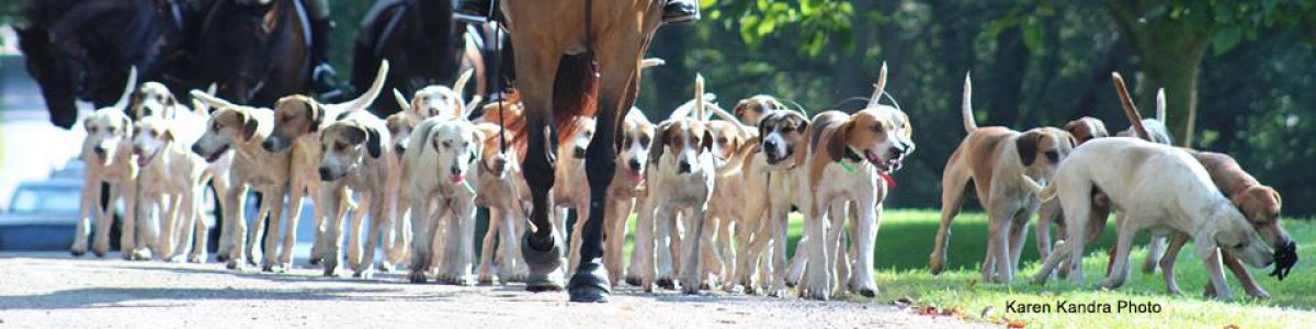 AshleyHubbard090417 KarenKandra 01banner