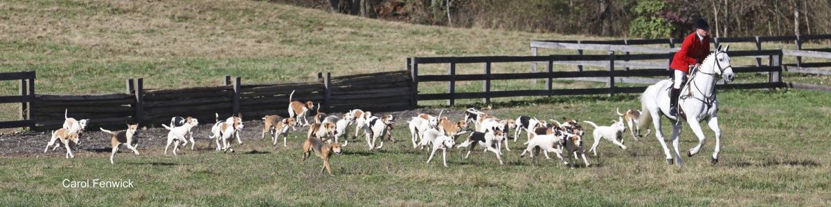 Ashley 125th 001CarolFenwick