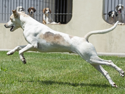 Lester_LaceyLender21_05