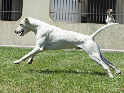 Lenny_LenderLacey_01