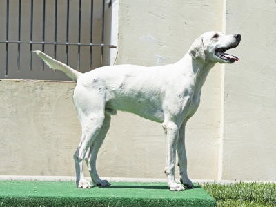 Lenny_LenderLacey_05