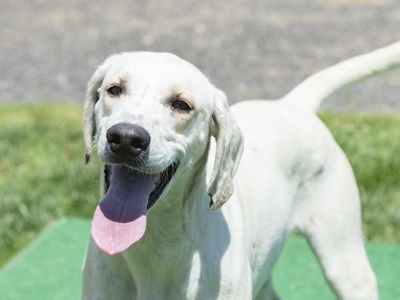 Lenny_LenderLacey_07