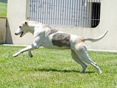 Level_LenderLacey_07