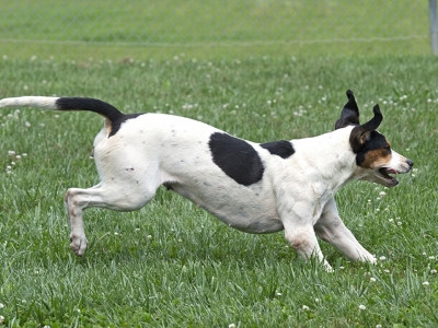 GSV_Novelty_2021_005