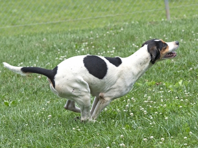 GSV_Novelty_2021_006